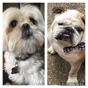 Meet your Posher, Sharon